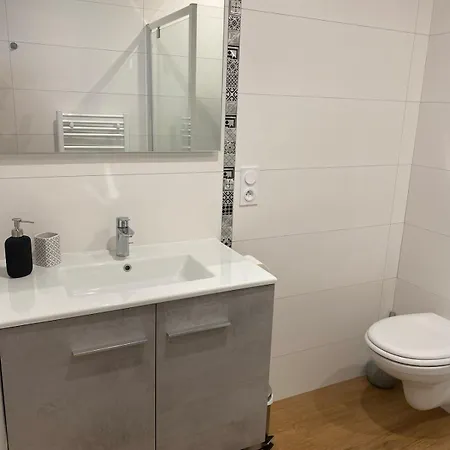 Appartement Lalberome Golden Centre Parking Prive Wifi *