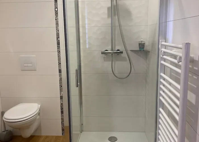 公寓 Lalberome Golden Centre Parking Prive Wifi *